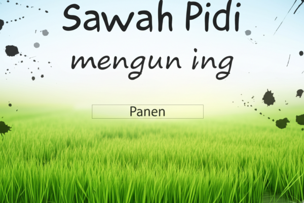 Prabowo Turun ke Sawah! Bupati Sumedang Ikut Panen Raya di Majalengka