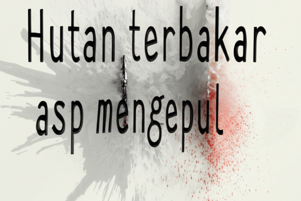 WNI Jadi Pahlawan di Korea! Selamatkan Warga dari Kebakaran Hutan!