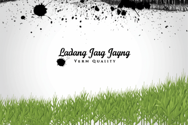 Panen Jagung Perdana di Lahan Rawa! Polda Kalsel Siap Cetak Sejarah?